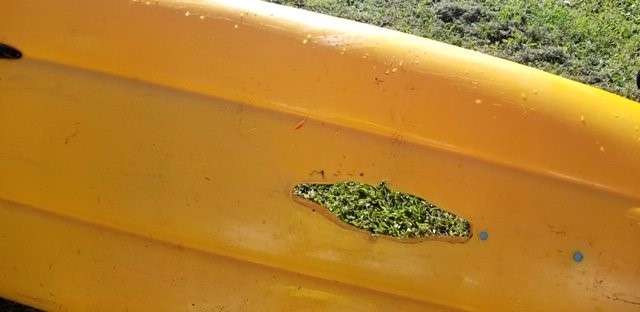 Hobie Cat Kayak With Polymer Fusion Label Tested By Shark. Mold In Graphic labeling for kayaks.