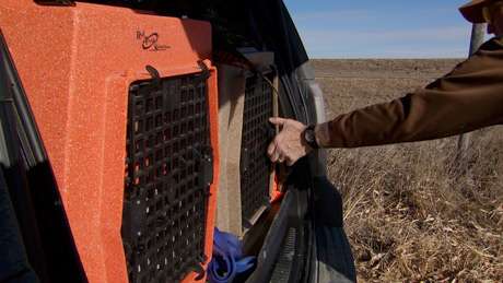 RuffLand Performance Kennels Labeling Dog Crates With Mold In Graphics labels for plastics
